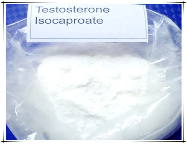 99% High Quality raw white powder Testosterone Isocaproate  CAS:15262-86-9  giving males their specific sexual traits