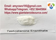 High Quality White Testosterone Enanthate Raw Powder For Burning Fat / Gaining Strength