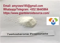 Rå steroid testosteron propionatpulver