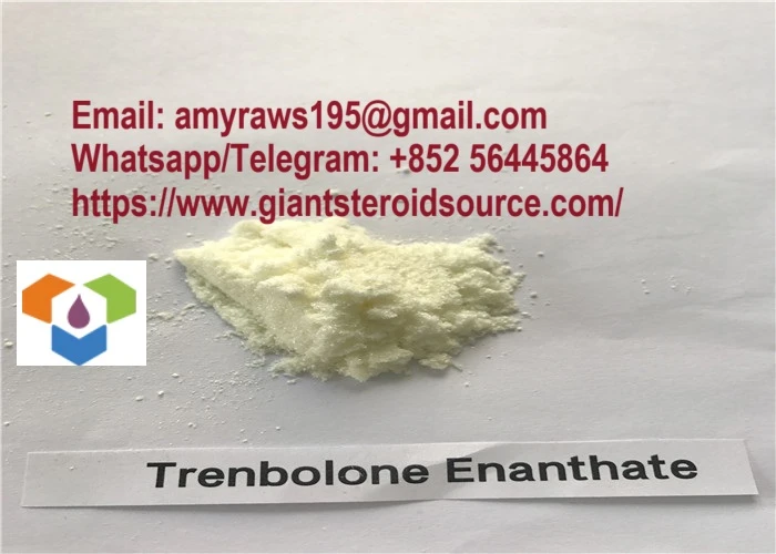 Trenbolone Enanthate Pulver