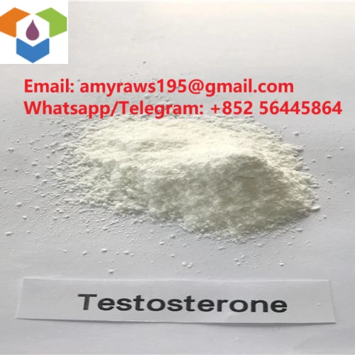 Pulver testosteron